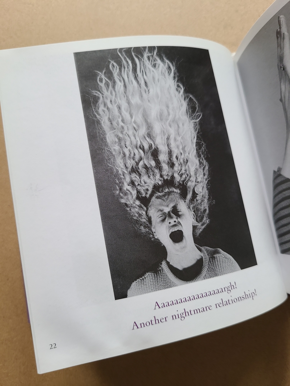 Looking for Mr. Right - Funny Coffee Table Book - Picture 6 of 9